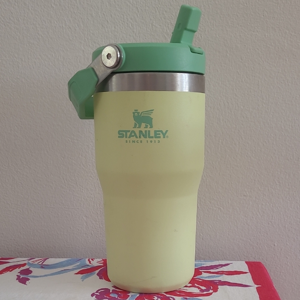 20oz Stanley Tumbler Light Green